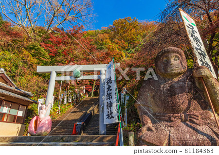 Momotaro Shrine in Autumn, the guardian deity of children <Inuyama City, Aichi Prefecture> 81184363
