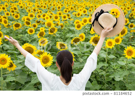 A woman in the back with her hat raised high in the sunflower field 81184652