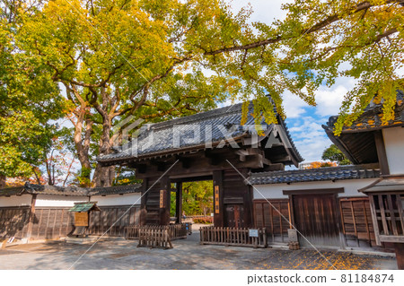 秋天的德川園<愛知縣名古屋市> 秋天的德川園<愛知縣名古屋市> 81184874