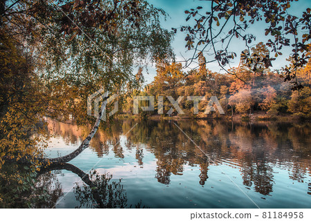 Autumn beautiful lake Autumn beautiful lake 81184958