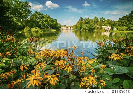 Lazienki Park in Warsaw Lazienki Park in Warsaw 81185048