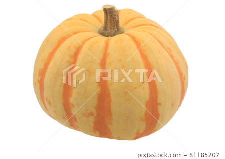 Mini Pumpkin Puccini (Pass) Mini Pumpkin Puccini (Pass) 81185207