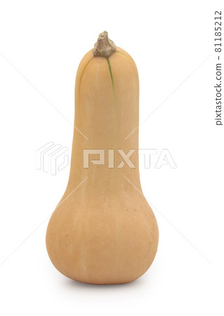 胡桃南瓜(白色背景) 胡桃南瓜(白色背景) 81185212
