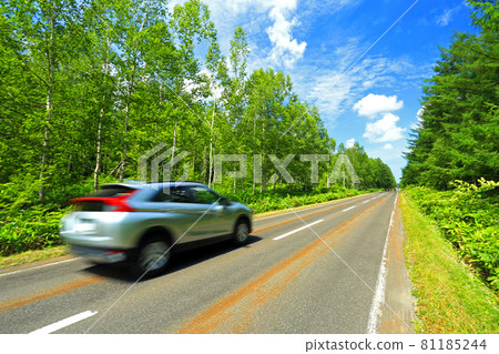 Drive through Biei Forest in Hokkaido in the summer Drive through Biei Forest in Hokkaido in the summer 81185244