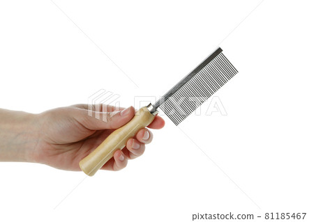 Female hand hold pet brush, isolated on white background Female hand hold pet brush, isolated on white background 81185467