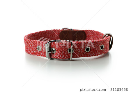 Red pet collar isolated on white background 81185468