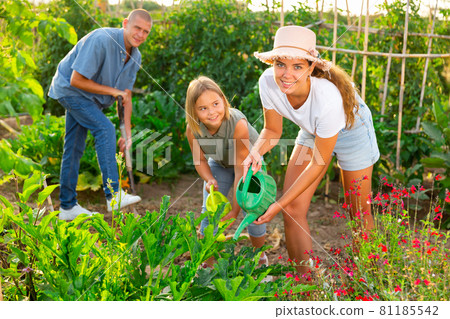 Family of three working in kitchen garden. Family of three working in kitchen garden. 81185542