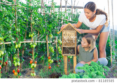 Mother, daughter and insect hotel 81185585
