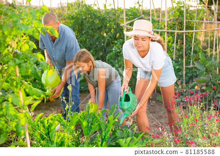 Portrait of happy family Portrait of happy family 81185588