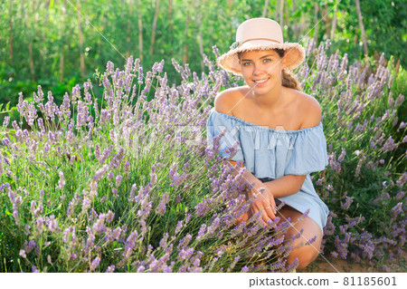 Young lady squatting beside lavender shrub Young lady squatting beside lavender shrub 81185601