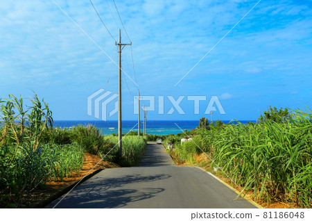 沖繩讀谷村佐藤to竹武路通向美麗的大海 81186048