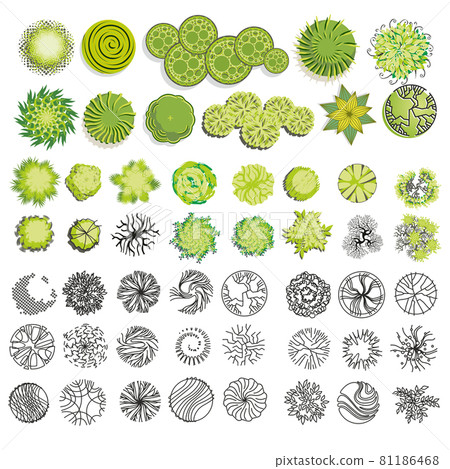 Trees and bush item top view for landscape design, vector icon. 81186468