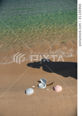 Beach Beach 81186908