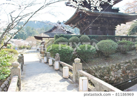 Toin of Mitsui Temple 81186969