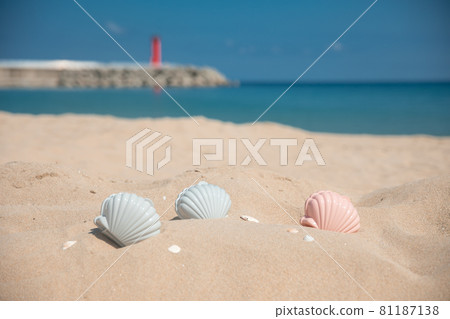 Beach Beach 81187138