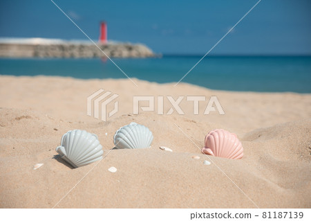 Beach Beach 81187139