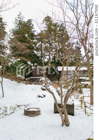 A walk around Chusonji Temple, a World Heritage Site in Iwate Prefecture 81187998