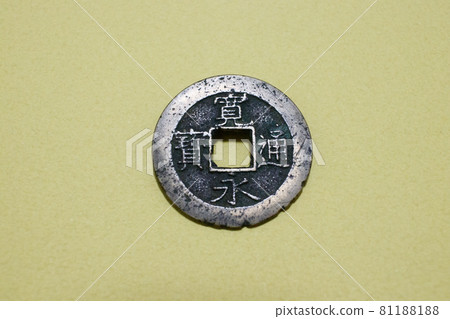 金井津穗銀杏色背景 81188188