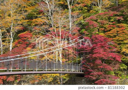 Bridge over Aya Bridge over Aya 81188302