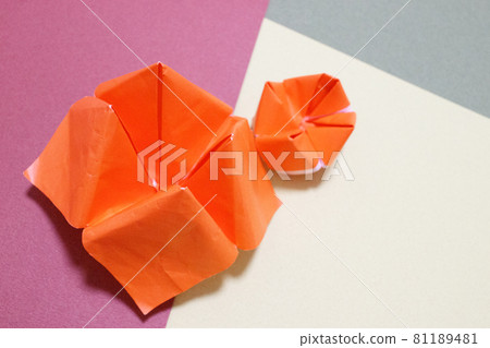 Pakkuncho large and small Pakkuncho large and small 81189481