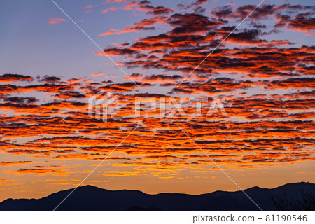 （山梨縣）從清里和宇築森看到的秩父山脈和黎明的天空 81190546