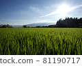 Japanese landscape Inaho 81190717