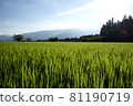 Japanese landscape Inaho 81190719