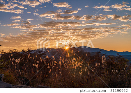 [Yamanashi Prefecture] Sunrise seen from Kiyosato's beautiful forest 81190932