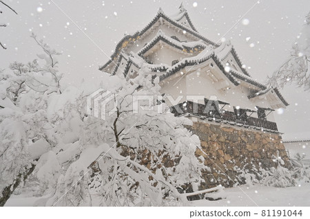 Hikone Castle Honmaru and snow-dyed landscape Hikone Castle Honmaru and snow-dyed landscape 81191044