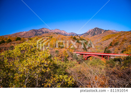 [Yamanashi Prefecture] Higashizawa Ohashi Observatory in Kiyosato Autumn leaves 81191054