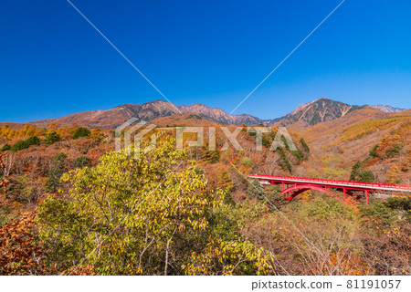 [Yamanashi Prefecture] Higashizawa Ohashi Observatory in Kiyosato Autumn leaves 81191057
