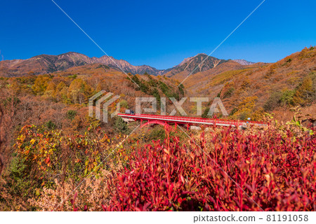[Yamanashi Prefecture] Higashizawa Ohashi Observatory in Kiyosato Autumn leaves 81191058