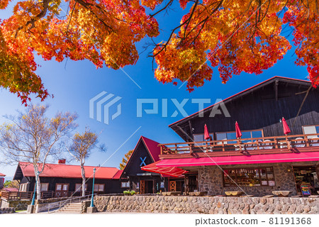 (Yamanashi Prefecture) Kiyosato's Seisen Dorm Autumn (Yamanashi Prefecture) Kiyosato's Seisen Dorm Autumn 81191368