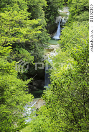 小白川溪谷 神社瀑布 81192399