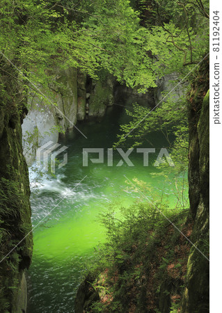 Ojiragawa Canyon Yurigabuchi 81192404