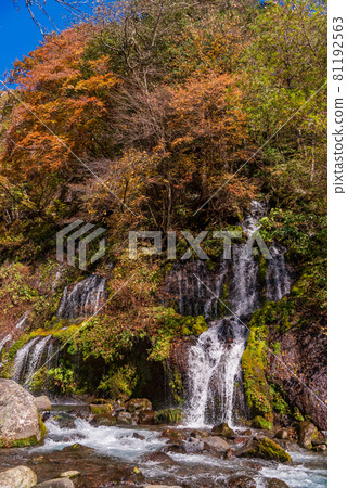 (Yamanashi Prefecture) Doryu no Taki Autumn leaves (Yamanashi Prefecture) Doryu no Taki Autumn leaves 81192563