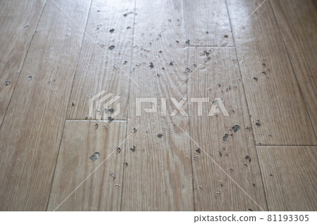Cushion floor full of scratches Cushion floor full of scratches 81193305