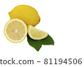 yellow lemon citrus fruit and green leaves 81194506