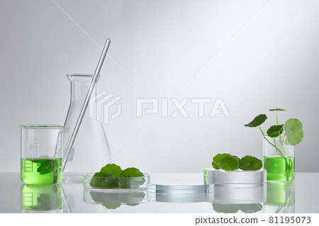 Skincare products and drugs chemical researches concept of centella asiatica Skincare products and drugs chemical researches concept of centella asiatica 81195073
