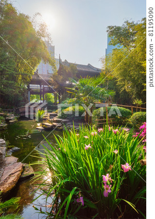 Wangjianglou park. Chengdu, Sichuan, China 81195090