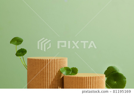 Product display podium with centella leaves on green background. 81195169