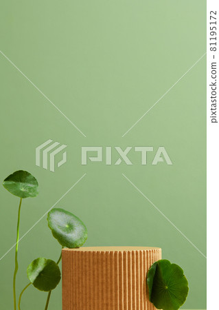 Product display podium with centella leaves on green background. 81195172