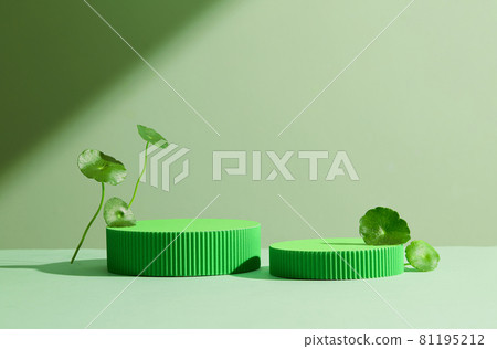 Product display podium with centella leaves on green background. 81195212