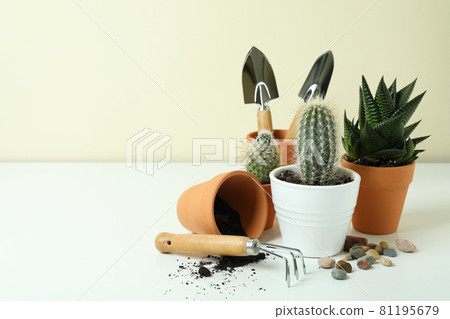 Concept of gardening on white table, space for text 81195679