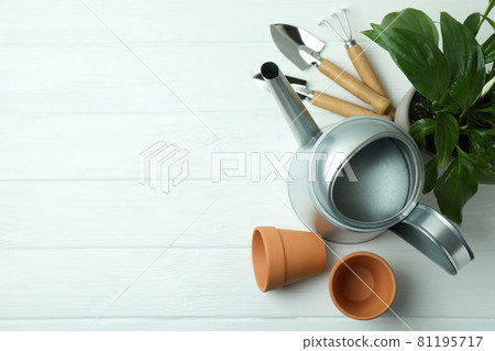 Concept of gardening on white wooden background 81195717