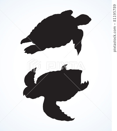 Turtle. Vector drawing Turtle. Vector drawing 81195789