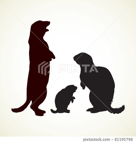 Groundhog. Vector illustration 81195798