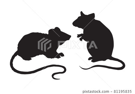 Mouse. Vector drawing 81195835