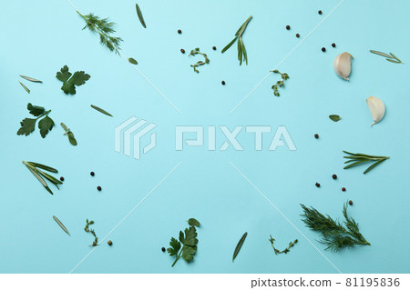 Fresh herbs on blue background, space for text 81195836