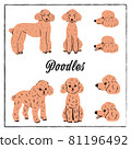 2 types of poodles (sideways, front, profile) No outline 81196492